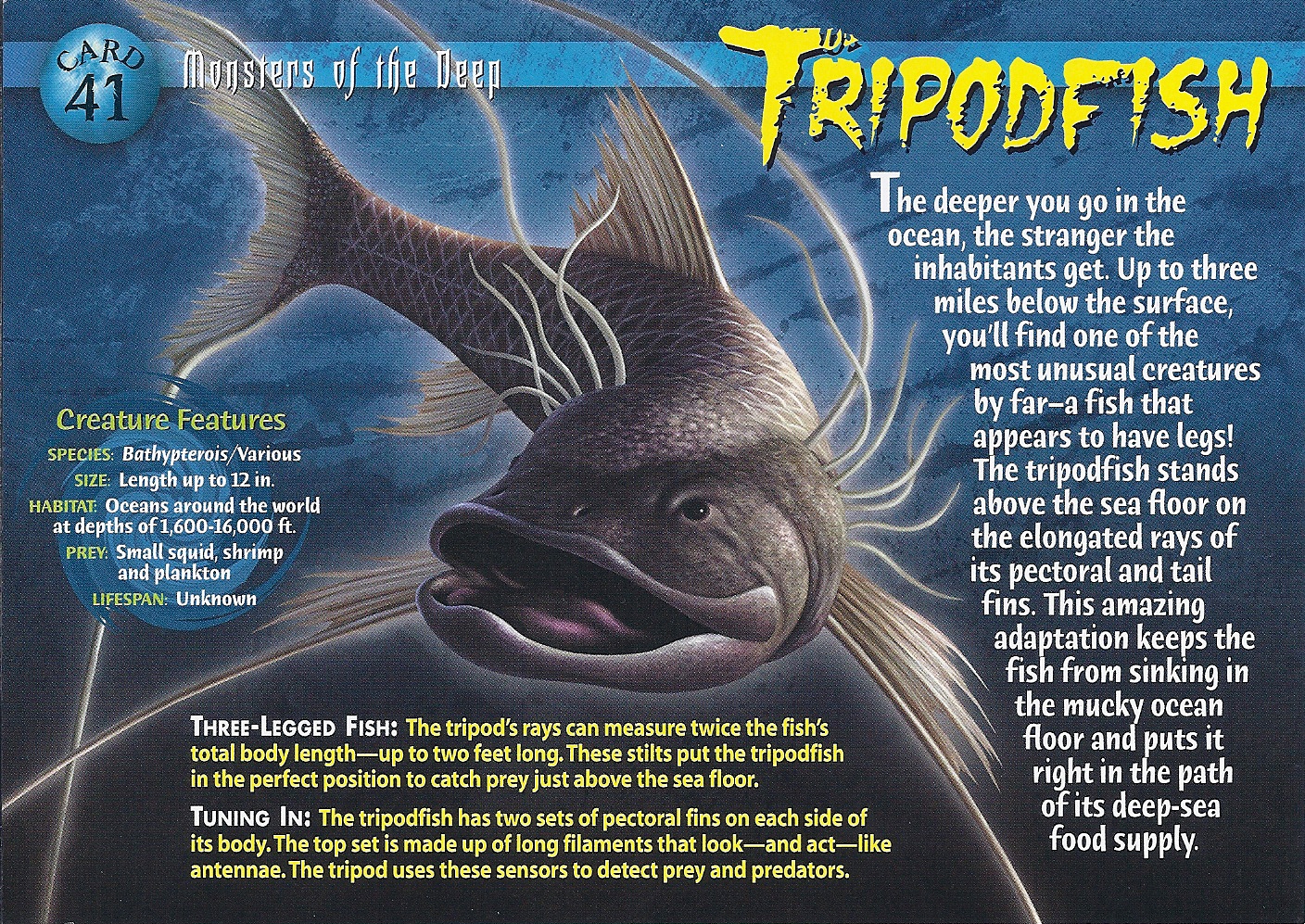 Fish facts