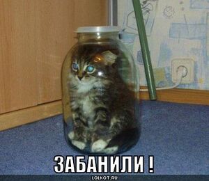 Блог о справедливых блокировках - за что меня в бан.jpg