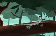 Flight of the Draco - Wild Kratts Wiki