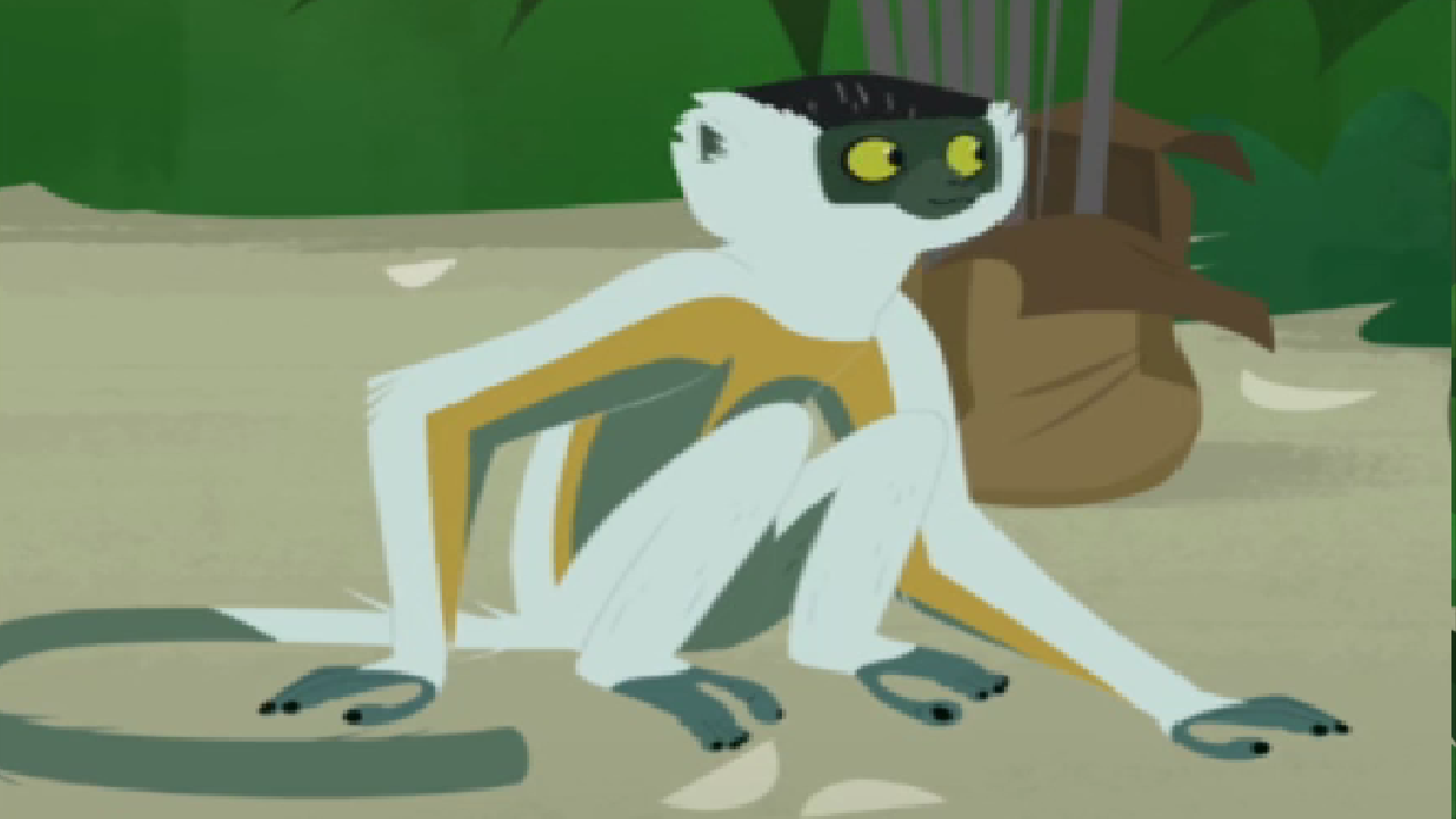 Image - Wkanimals3.png | Wild Kratts Wiki | Fandom powered by Wikia