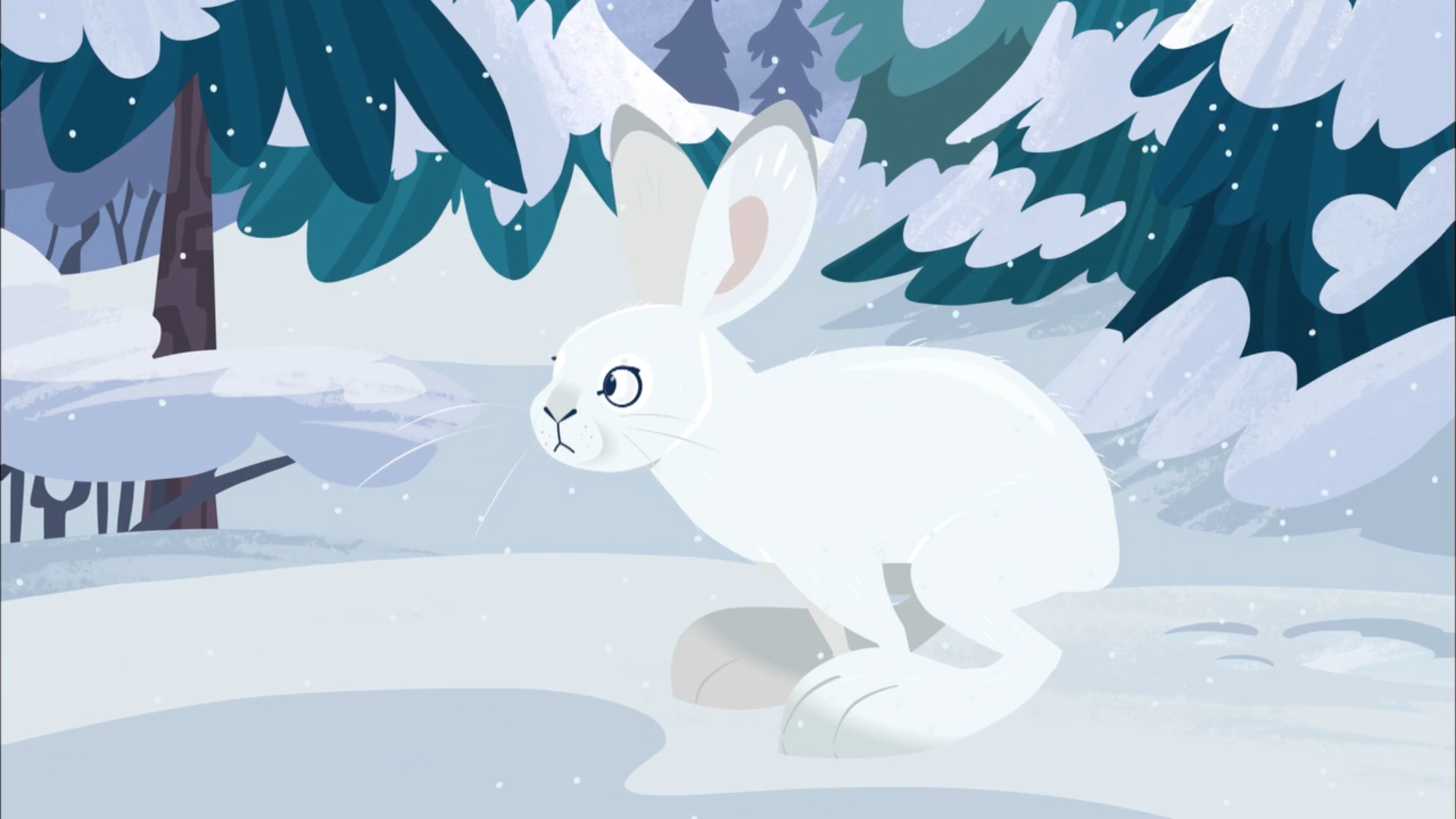 Image Snowshoe Hare.png Wild Kratts Wiki Fandom powered by Wikia