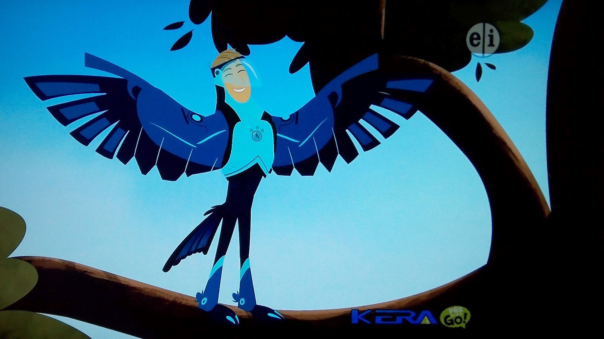 Image - 101 0246.jpg | Wild Kratts Wiki | Fandom powered by Wikia