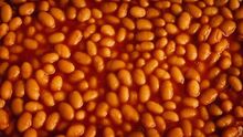 123