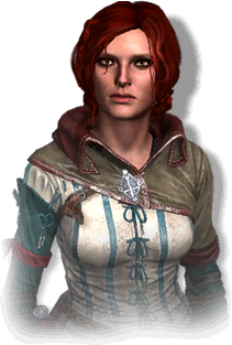 Tw2_journal_Triss.png