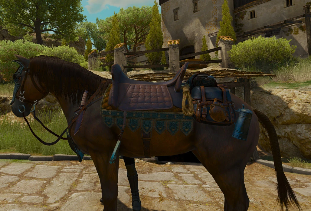 Zerrikanian saddle Witcher Wiki Fandom powered by Wikia