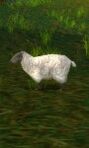 Mouton wow.jpg