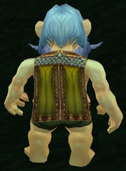 Lambent Scale Cloak, Grass Background, Gnome Male