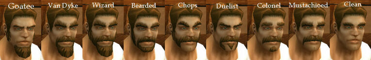 Human Male Facial Hair