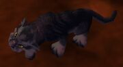 Panther Cub WoW Wild 2