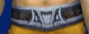 Belt of the Tracker
