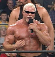 Pro-wrestling-9.jpg