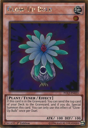 Bulb