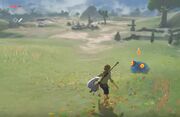 ChuChu BotW.jpg