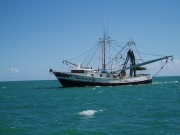 Imagefishtrawl
