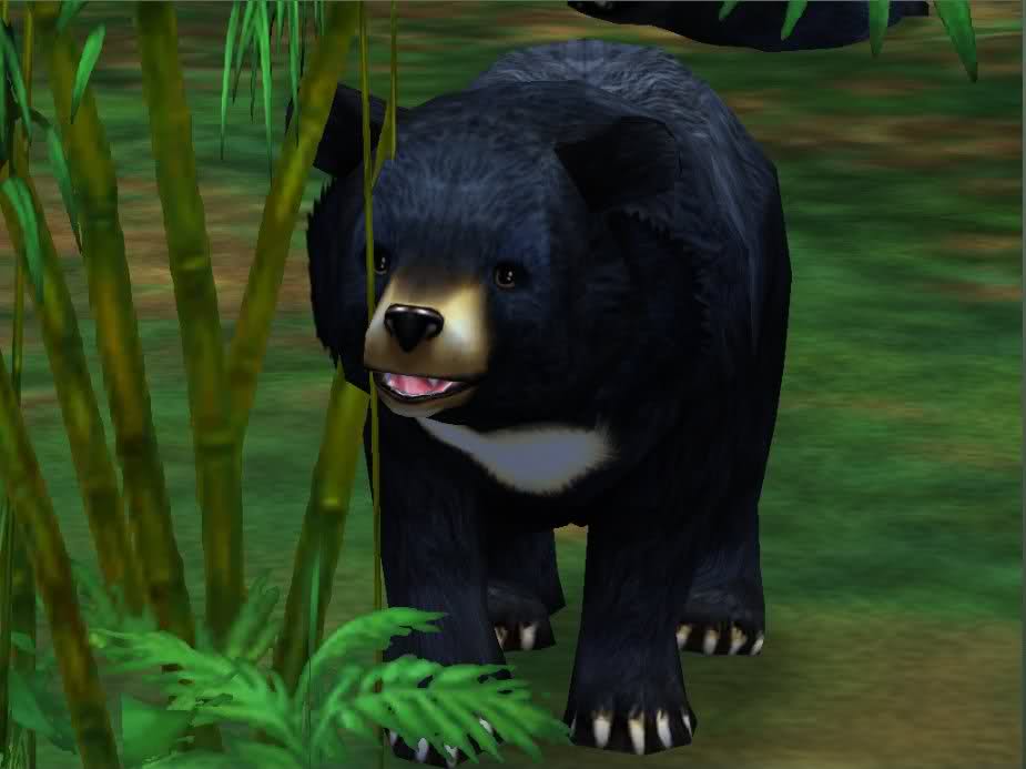 Zoo Tycoon, Zoo Tycoon Wiki