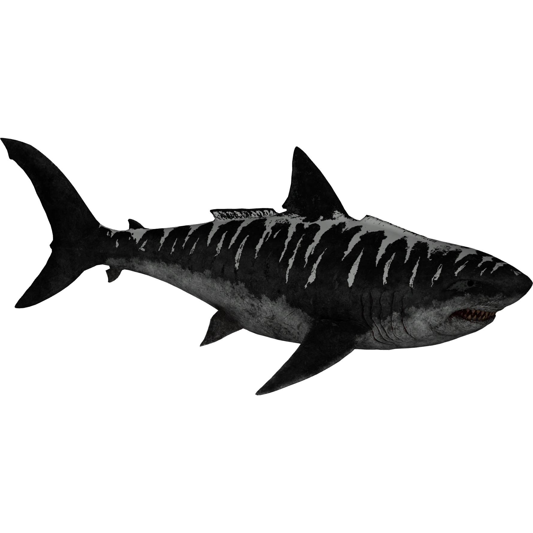 ARK Megalodon (TheriDK) | ZT2 Download Library Wiki | FANDOM powered by