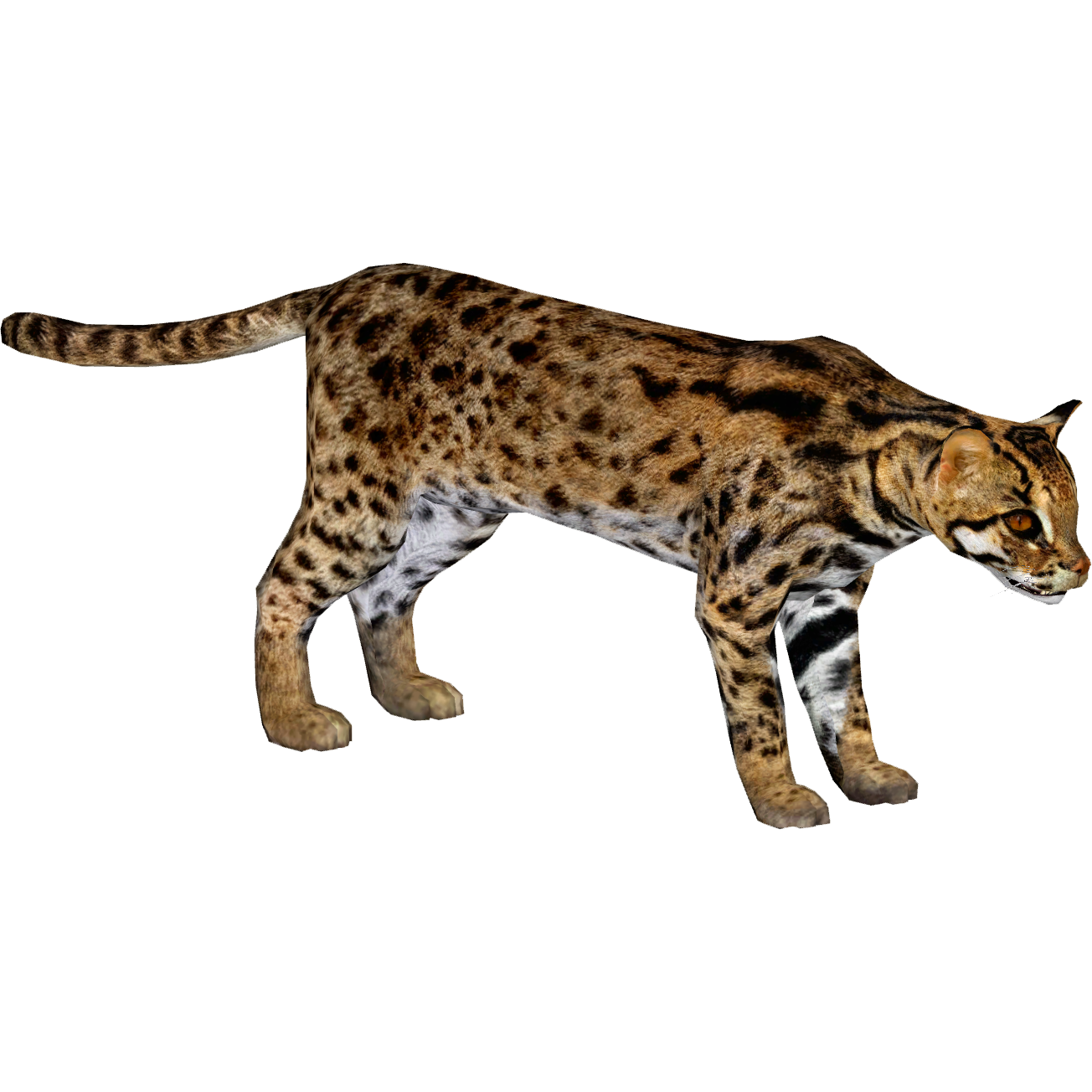 Leopard Cat (16529950) | ZT2 Download Library Wiki | Fandom powered by