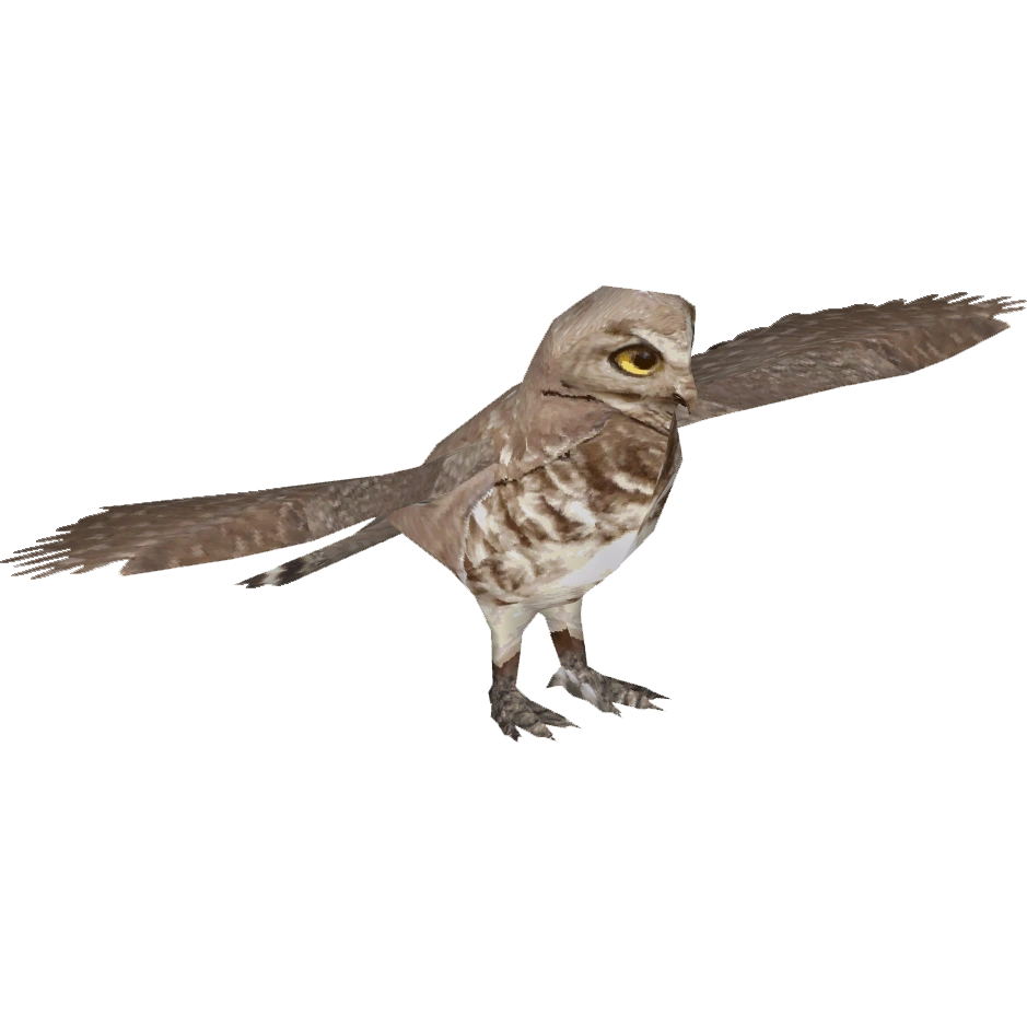Forest Owlet Cosmius ZT2 Download Library Wiki Fandom Powered By 