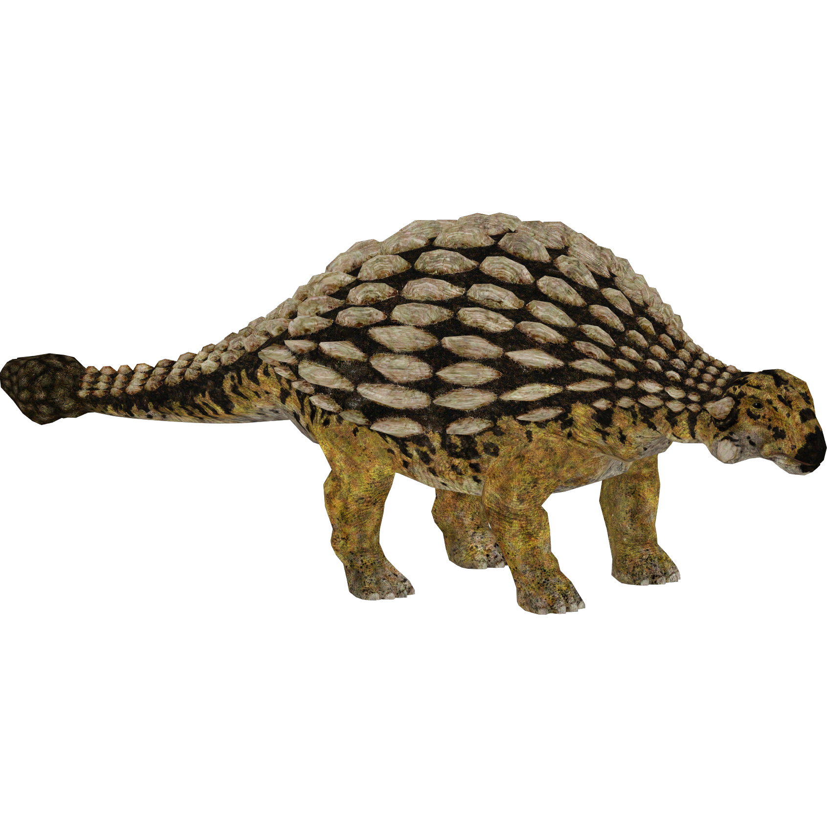 ankylosaurus spinosaurus