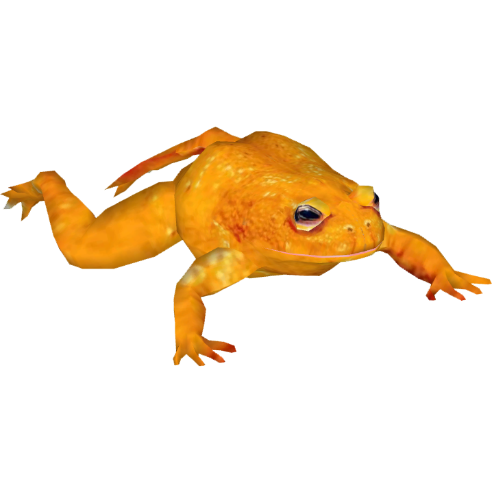 golden-toad-the-zt2-round-table