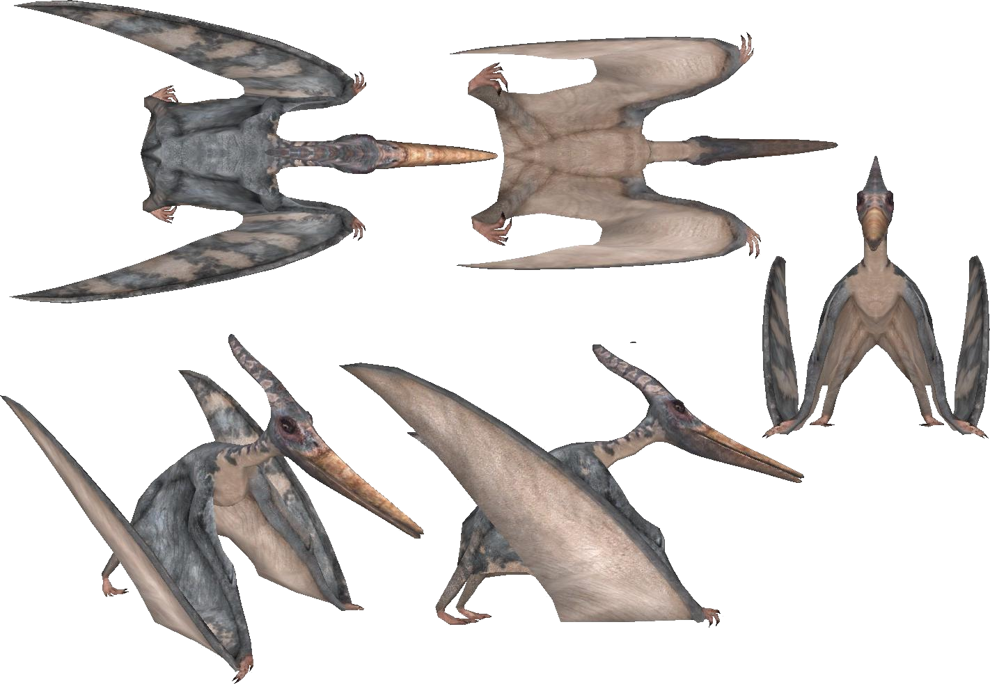 pteranodon walking with dinosaurs