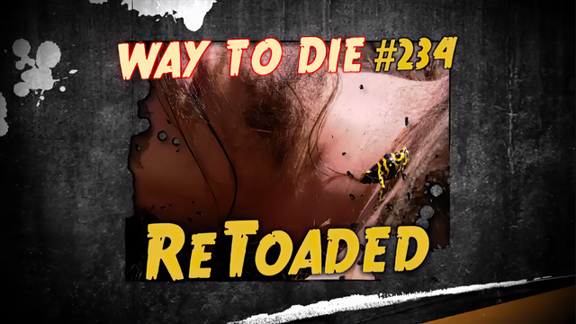 File:ReToaded.png