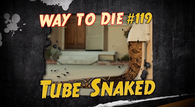 File:Tube Snaked.png