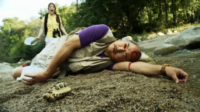 File:Turtle Waxed.jpg