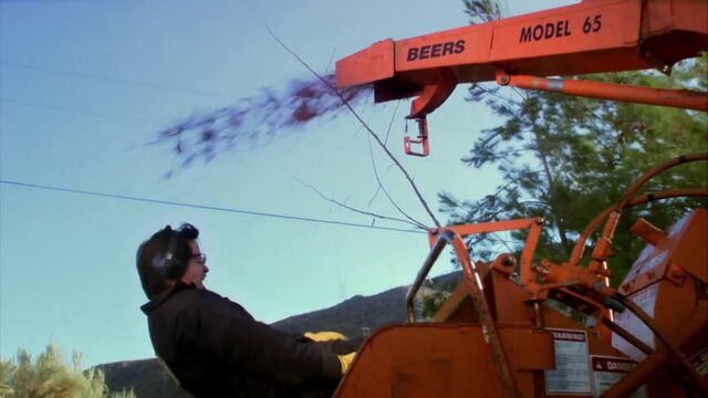 File:Chippin' Dale.jpg