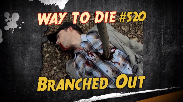 File:Branched Out.png