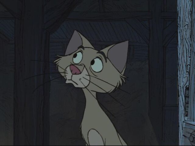File:Cat101D.jpg