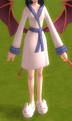 Bat's Bathrobe.jpg