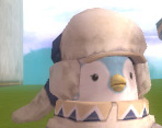 Fm hat.jpg