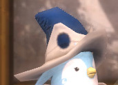 Wd hat.jpg