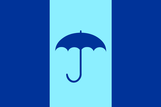 Файл:Flag Zontika full.png
