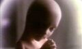 Thumbnail for version as of 20:53, November 16, 2011