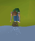 Fishing smallnet