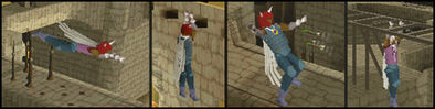 Agility arena pics
