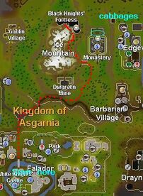 Black knights fortress