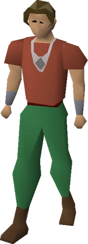 File:Silver necklace equipped.png