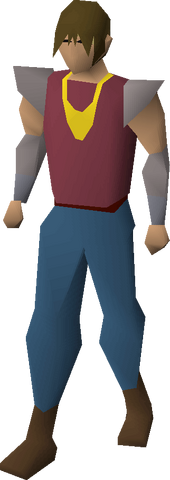 File:Gold necklace equipped.png
