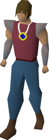 File:Sapphire amulet equipped.png
