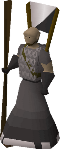 File:Squire (Intermediate).png