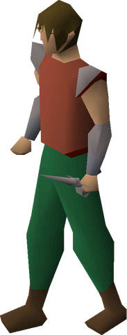 File:Steel defender equipped.png