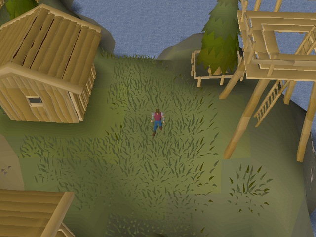 File:Coordinate clue 19.56N 02.31W.png