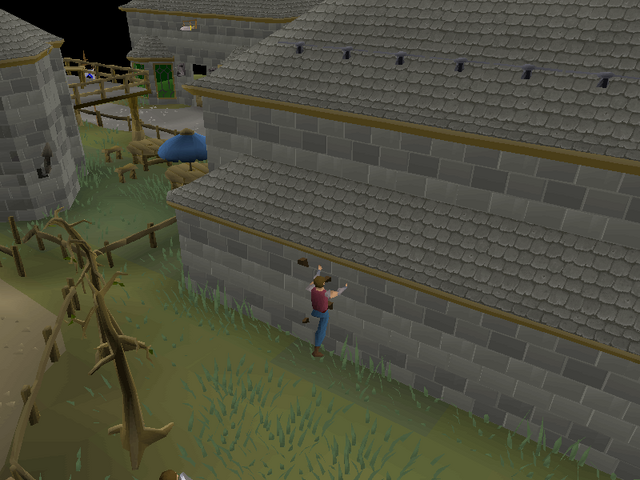 File:Varrock Agility Course 1.png