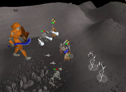 Fighting Vet'ion