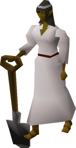 File:Ayesha.png