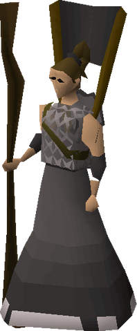 File:Squire (Veteran).png