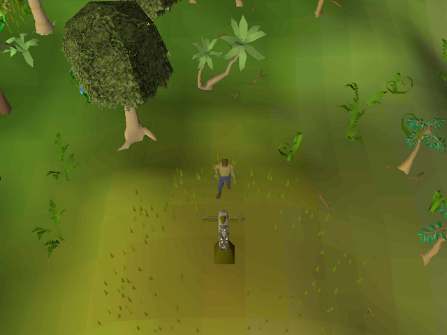 File:Coordinate clue 08.05S 15.56E.png